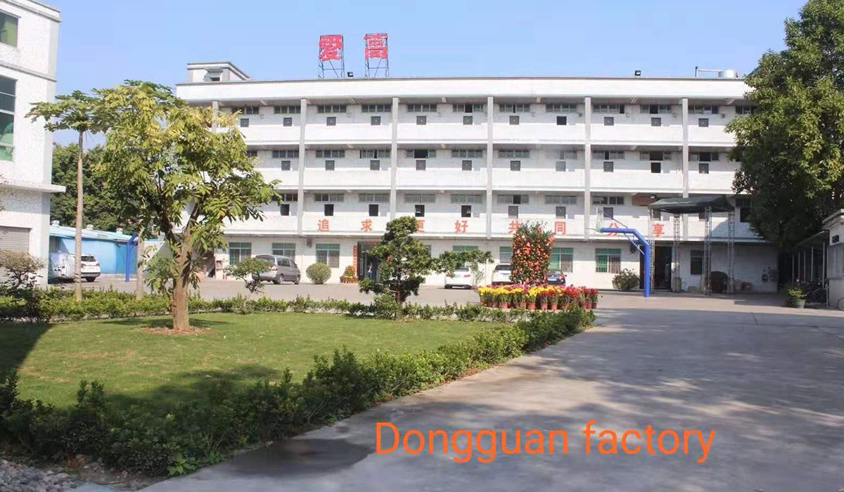 FDB's New Factory في Enping، Jiangmen City