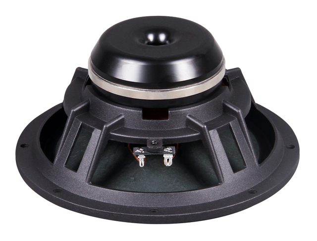 مكبر صوت نيوديميوم 8 بوصة PL820N